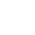 icon-basketball