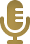 VIP - Mic Icon